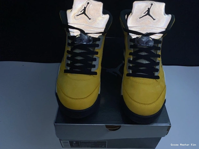 5 Air Tokyo Jordan 454783-701 Retro T23 0806